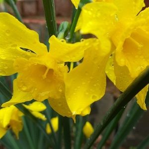 Meet your Posher, Anay